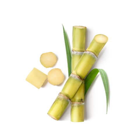 Illustration of Licorice Root, known for brightening skin tone