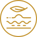 Icon representing smoother and softer skin